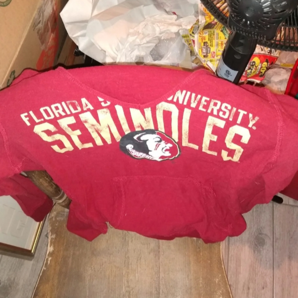Florida state hoodie